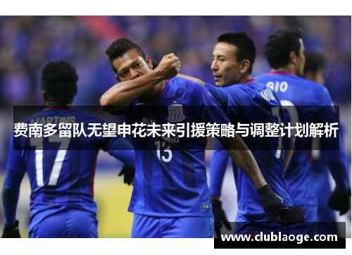 费南多留队无望申花未来引援策略与调整计划解析 费南多留队无望申花未来引援策略与调整计划解析