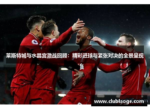 莱斯特城与水晶宫激战回顾：精彩进球与紧张对决的全景呈现