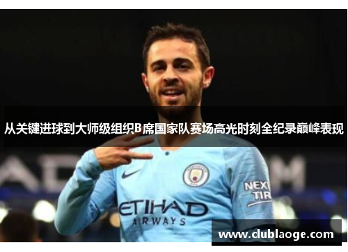 从关键进球到大师级组织B席国家队赛场高光时刻全纪录巅峰表现 从关键进球到大师级组织B席国家队赛场高光时刻全纪录巅峰表现