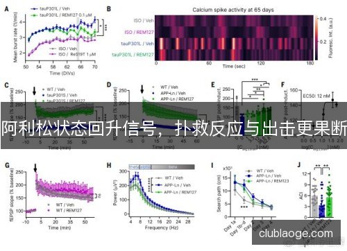 阿利松状态回升信号，扑救反应与出击更果断